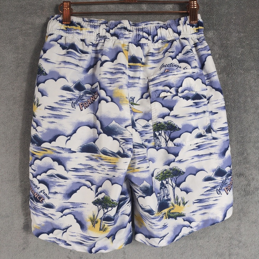 Lacoste Mens Greetings From France Graphic Print Swim Trunks Blue White Small - Picture 4 of 13